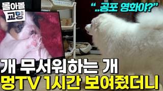 " "                e