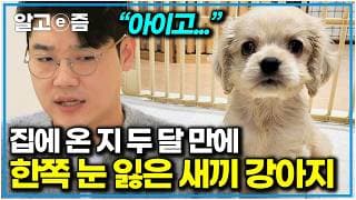 “   ?”    5    ?   e