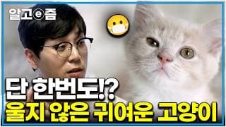 " !"                 e