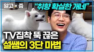 "    "       ,    ?   e